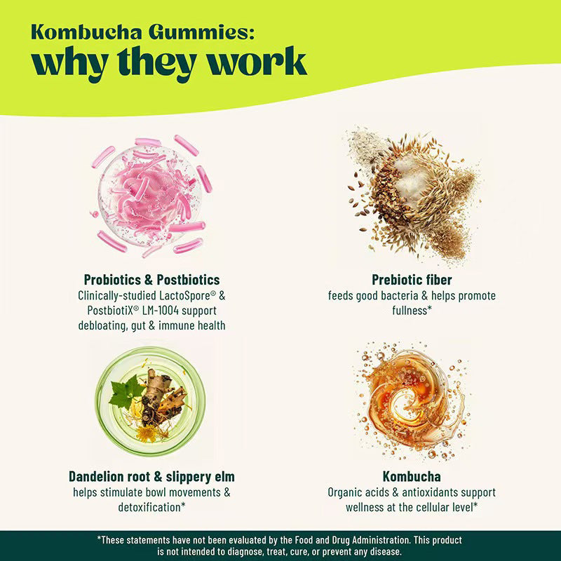 Probiotic Kombucha Gummies for Daily Balance & Gut Support | ChewingBears